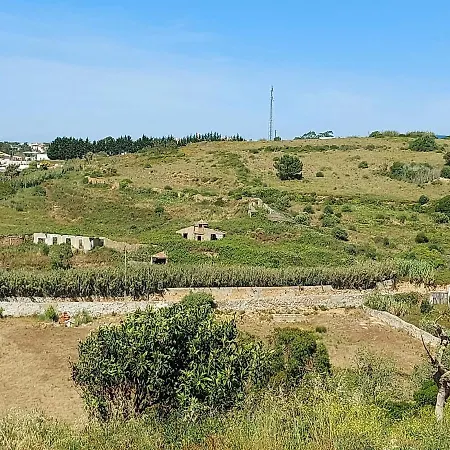 Yellow House מלון